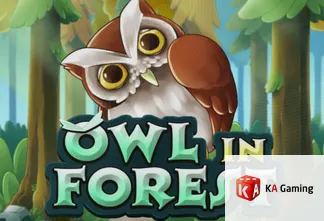 Owl In Forest